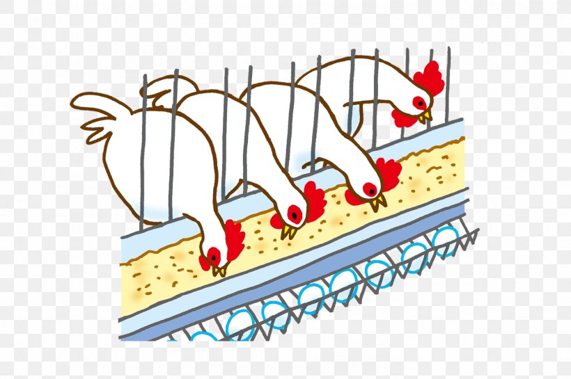 Poultry Farming Diagram Clip Art, PNG, 1504x1000px, Poultry Farming, Area, Cartoon, Diagram, Education Download Free