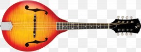 Acoustic Guitar - Acoustic Guitar Electric Guitar Tiple Cuatro Mandolin PNG