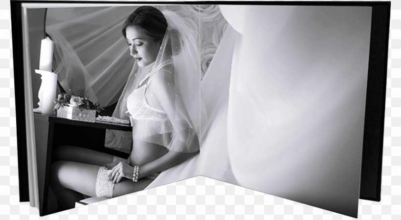 Bride Wedding Photography Photo Shoot Furniture, PNG, 869x479px, Watercolor, Cartoon, Flower, Frame, Heart Download Free