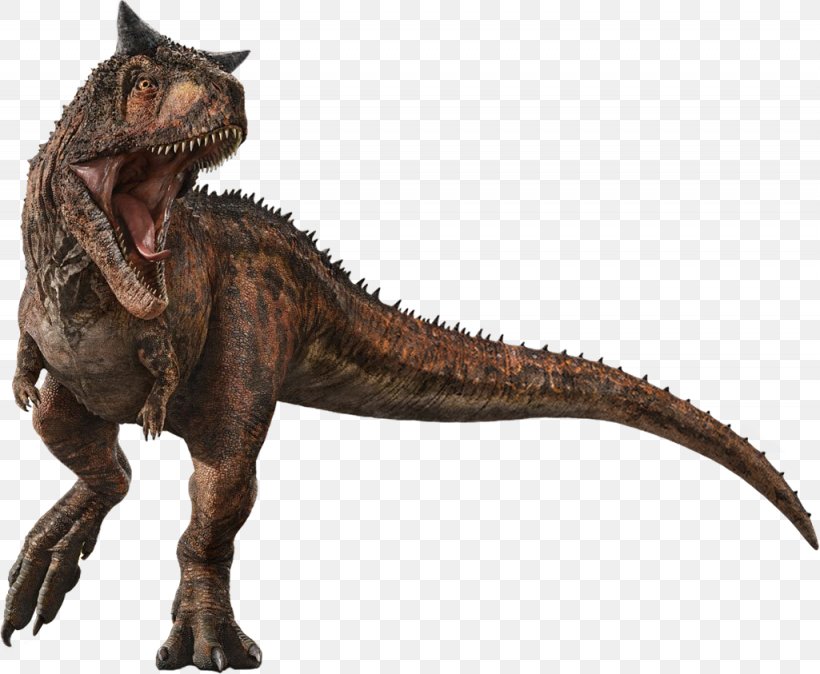 Carnotaurus Velociraptor Jurassic World Evolution Tyrannosaurus Jurassic Park, PNG, 1025x843px, Carnotaurus, Animal Figure, Claw, Cryptid, Dilophosaurus Download Free