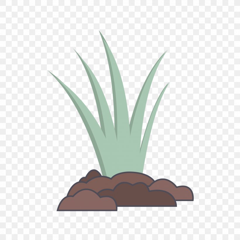 Family Tree Background, PNG, 2084x2084px, Wheatgrass, Agave, Agave Azul, Aloe, Ananas Download Free