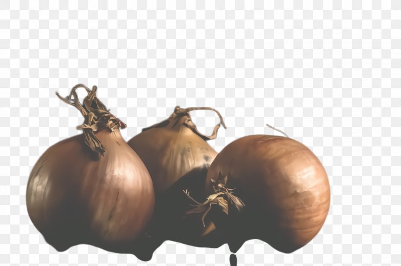 Vegetable Yellow Onion Onion Plant Allium, PNG, 2452x1632px, Vegetable, Allium, Food, Garlic, Onion Download Free