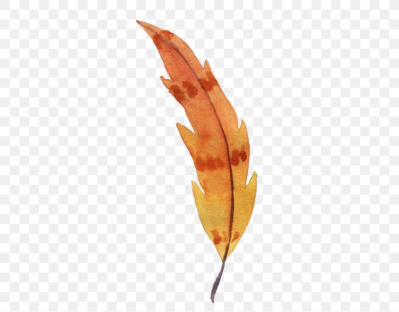 Watercolor Painting Feather Orange, PNG, 500x641px, Watercolor Painting, Designer, Feather, Gratis, Leaf Download Free
