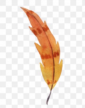 Watercolor Feather - Watercolor Painting Feather Orange PNG