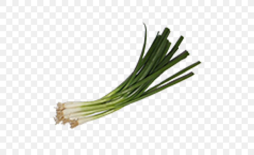 Allium Fistulosum Onion Scallion Vegetable Insecticide, PNG, 500x500px, Allium Fistulosum, Biological Pest Control, Description, Food, Fungicide Download Free