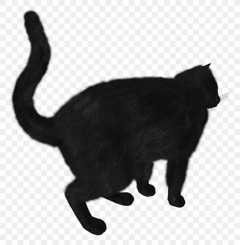 Black Cat Track, PNG, 1490x1520px, Cat, Black, Black And White, Black Cat, Bombay Download Free