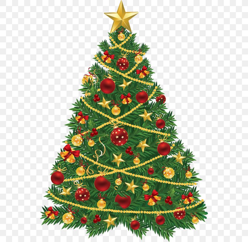 Christmas Tree Christmas Ornament Santa Claus Clip Art, PNG, 556x800px, Christmas, Christmas Decoration, Christmas Gift, Christmas Ornament, Christmas Tree Download Free