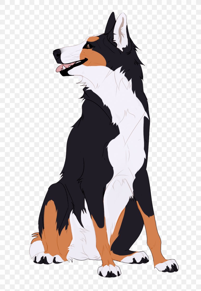 Dog Breed Border Collie Illustration Graphics, PNG, 1036x1500px, Dog Breed, Australian Shepherd, Bernese Mountain Dog, Border Collie, Breed Download Free