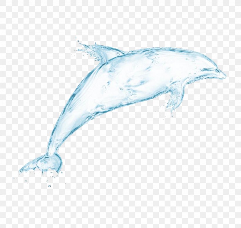 Dolphin Drawing Drop Wallpaper, PNG, 1024x966px, 4k Resolution, Dolphin, Art, Common Bottlenose Dolphin, Creativity Download Free