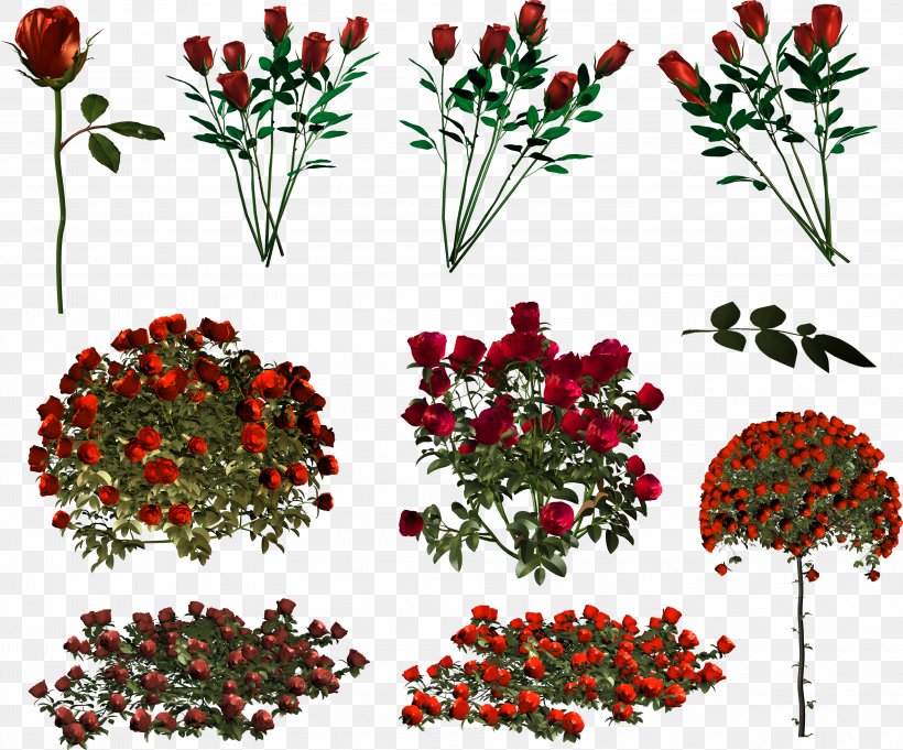 Floral Design Garden Roses Flower IFolder Petal, PNG, 3204x2661px, Floral Design, Aquifoliaceae, Branch, Cut Flowers, Depositfiles Download Free