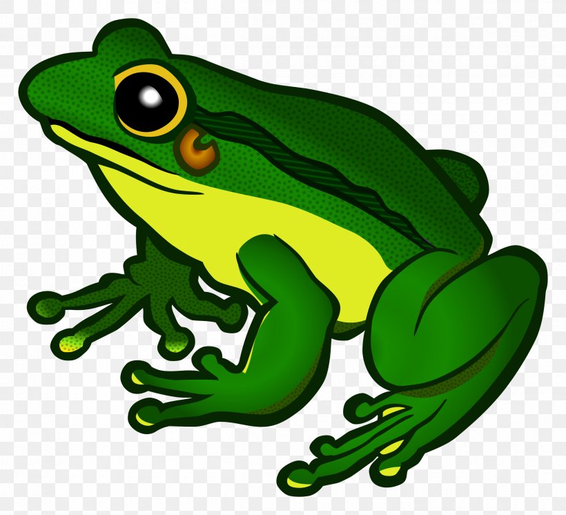Frog Clip Art, PNG, 2400x2185px, Frog, Amphibian, Australian Green Tree Frog, Display Resolution, Favicon Download Free