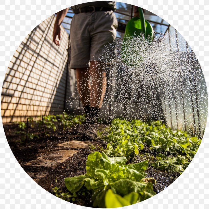 Greenhouse Shutterstock Earth Light Stock Photography, PNG, 1872x1872px, Greenhouse, Earth, Garden, Garden Tool, Gardening Download Free