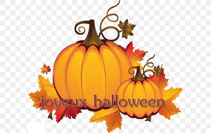 Jack-o'-lantern Pumpkin Halloween Clip Art, PNG, 600x517px, Pumpkin, Black Cat, Calabaza, Cucurbita, Flower Download Free
