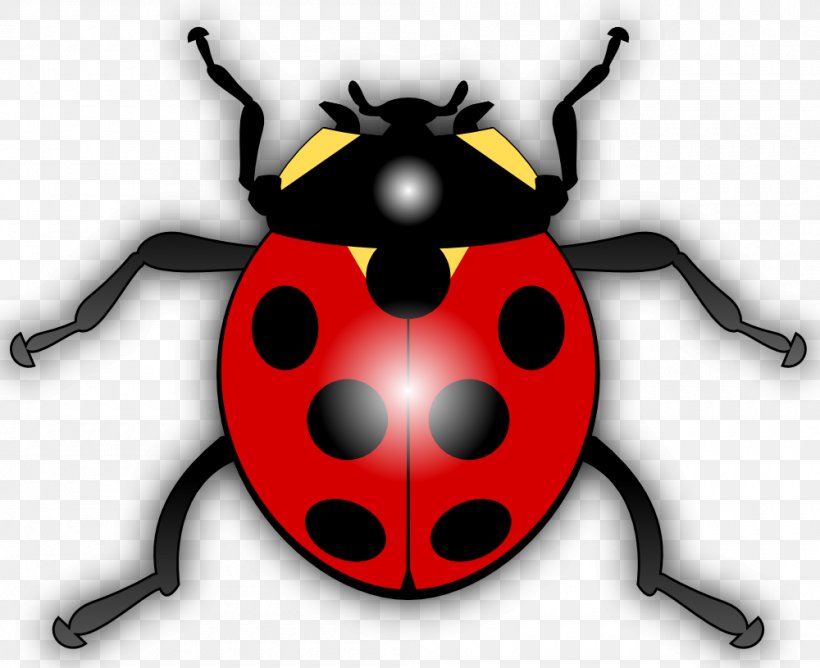 Ladybird Insect Clip Art, PNG, 1000x815px, Beetle, Air And Space Academy, Arthropod, Film, Illustration Download Free