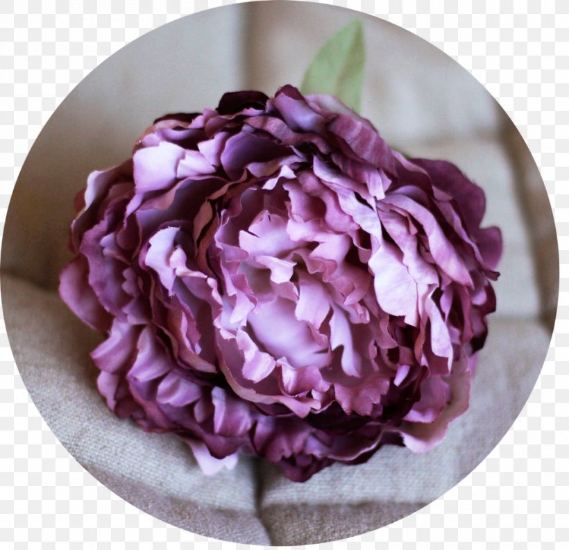 Cabbage Rose Peony Purple Cut Flowers Hortênsia Rosa, PNG, 1000x966px, Cabbage Rose, Blue, Cut Flowers, Euro, Flower Download Free