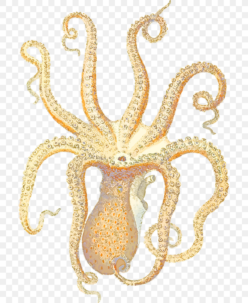 Octopus Gold Marine Science Biology, PNG, 696x1000px, Octopus, Biology, Chemistry, Gold, Marine Download Free