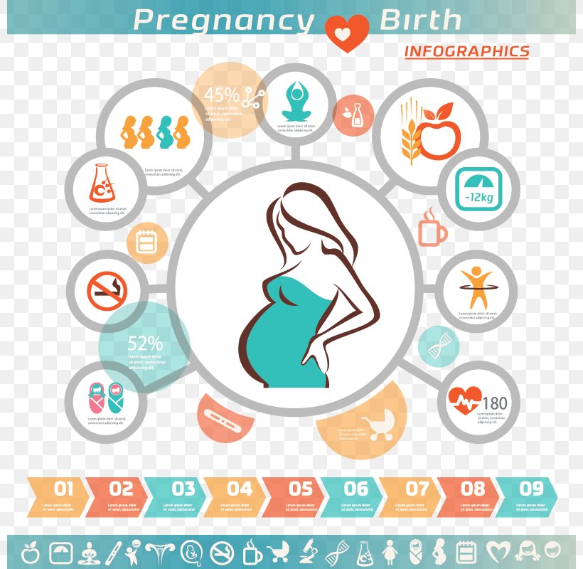 Pregnancy Infographic Woman Icon, PNG, 800x800px, Pregnancy, Area, Brand, Childbirth, Diagram Download Free