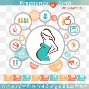 Pregnancy Infographic Woman Icon, PNG, 947x972px, Pregnancy, Area ...