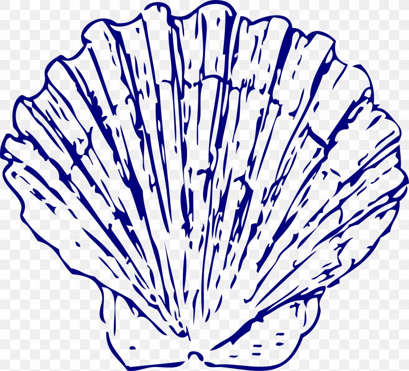 Seashell Blue Clip Art, PNG, 1920x1742px, Seashell, Aqua, Area, Black And White, Blog Download Free