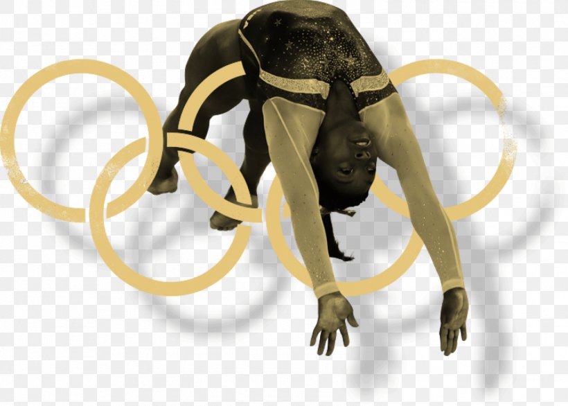 World Artistic Gymnastics Championships Olympic Games Rio 2016 Rio De Janeiro, PNG, 1498x1072px, Artistic Gymnastics, Blog, Female, Gymnastics, Katie Ledecky Download Free