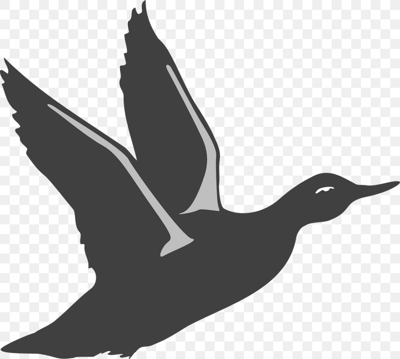 American Pekin Duck Bird Goose Clip Art, PNG, 1280x1150px, American Pekin, American Black Duck, Beak, Bird, Black And White Download Free