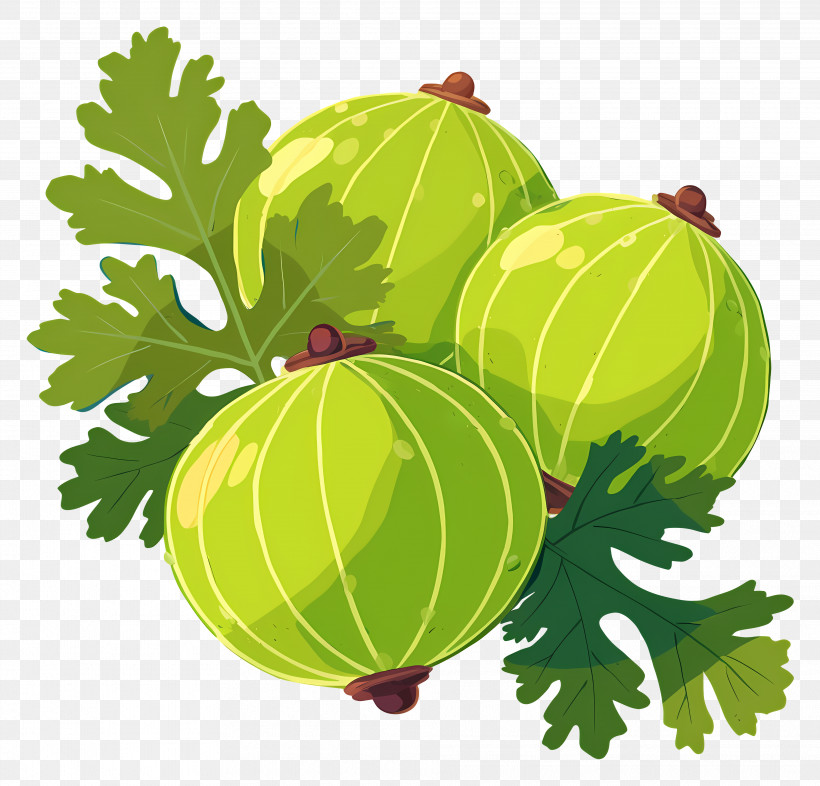 Amla Fruit - Green Gooseberries With Leaves PNG
