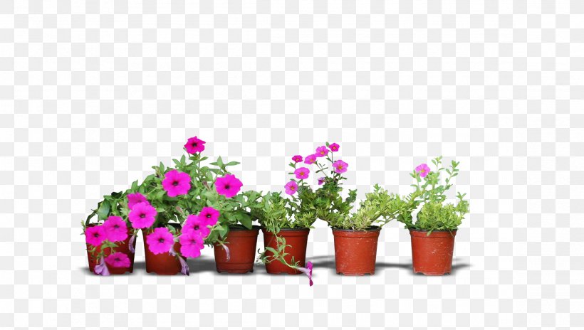 Real Flower Pots, PNG, 2322x1314px, Flowerpot, Artificial Flower, Crock, Cut Flowers, Flora Download Free