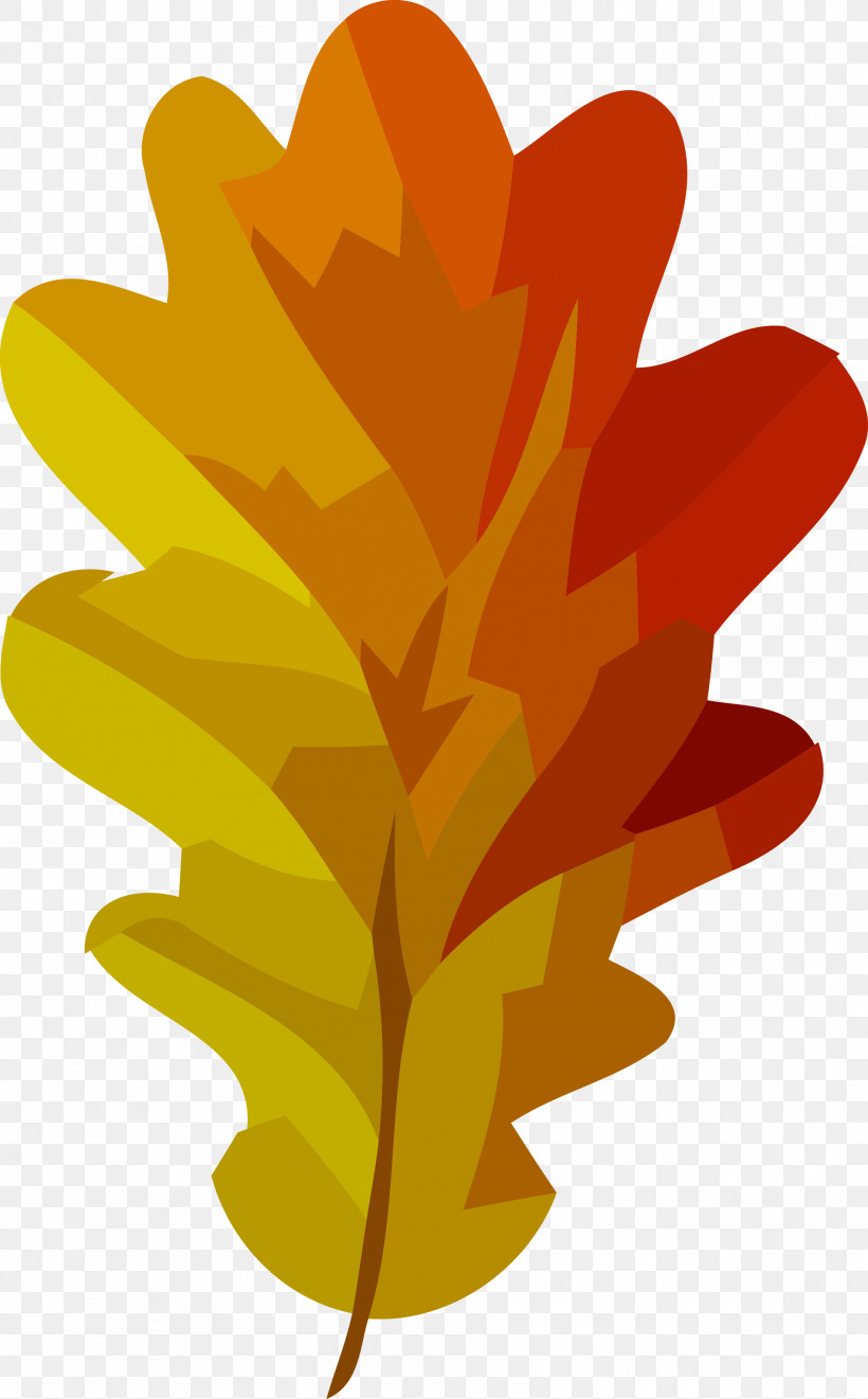 Autumn Leaf Fall Leaf Yellow Leaf, PNG, 1896x3056px, Autumn Leaf, Fall Leaf, Leaf, Plant, Tree Download Free