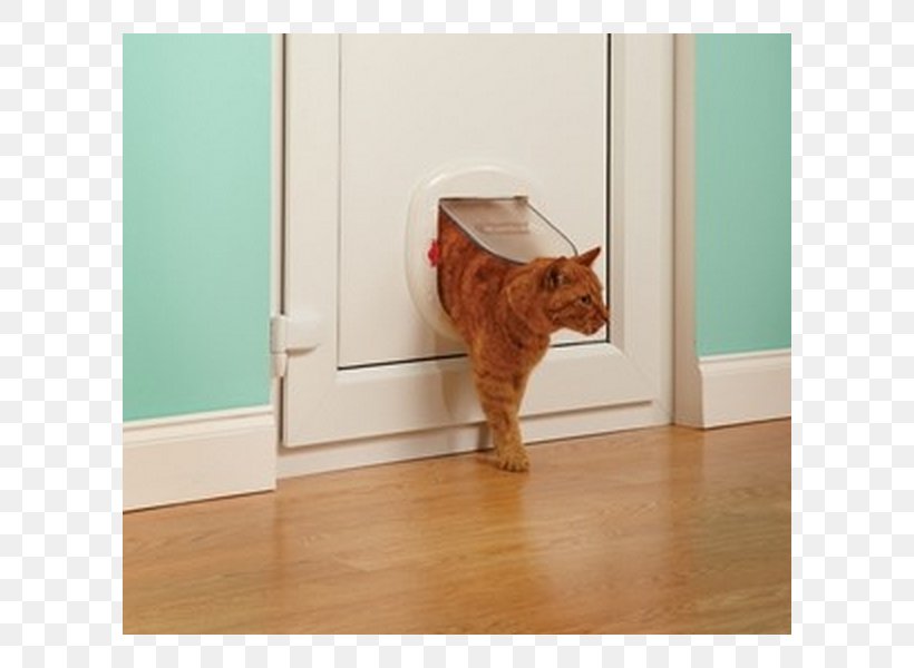 Cat & Dog Flaps Cat & Dog Flaps Window Sliding Glass Door, PNG, 600x600px, Dog, Big Cat, Carnivoran, Cat, Cat Dog Flaps Download Free