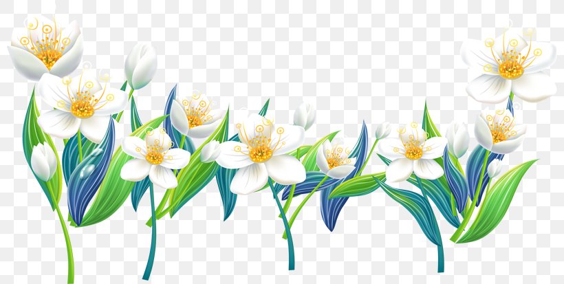 Flower Clip Art, PNG, 800x413px, Flower, Adobe Fireworks, Amaryllis Family, Branch, Cut Flowers Download Free