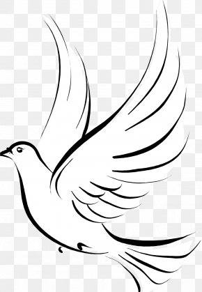 Bird - Pigeons And Doves Doves As Symbols Bird Tattoo Image PNG