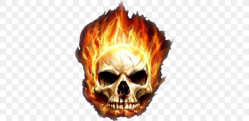 Desktop Wallpaper Garena Free Fire Skull Flame, PNG, 328x400px, Fire, Bone,  Combustion, Display Resolution, Drawing Download