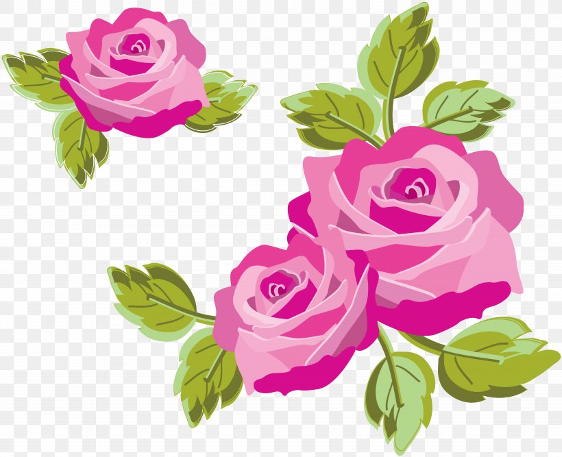Still Life: Pink Roses Flower, PNG, 5049x4107px, Rose, Annual Plant, Color, Cut Flowers, Drawing Download Free