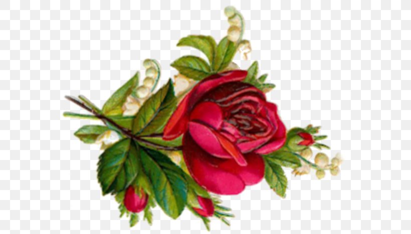 Garden Roses Cabbage Rose Floral Design Cut Flowers, PNG, 585x468px, Garden Roses, Artificial Flower, Cabbage Rose, Cut Flowers, Floral Design Download Free