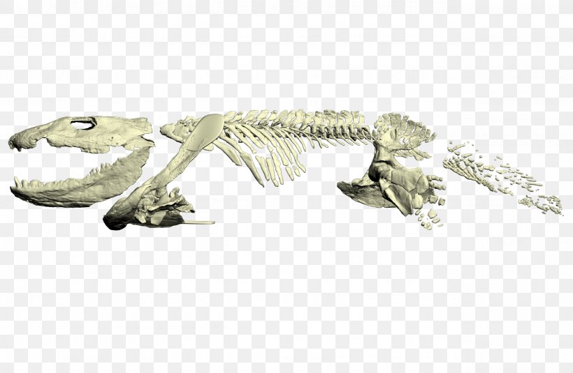 Ichthyostega Reptile Late Devonian Extinction Amphibian Tetrapods, PNG, 2556x1669px, Ichthyostega, Acanthostega, Amphibian, Body Jewelry, Devonian Download Free
