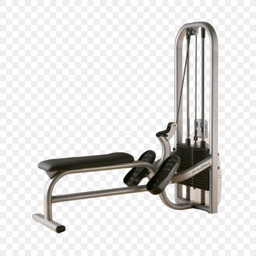 Pulley Machine Máquina Fitness Centre Physical Fitness, PNG, 1100x1100px, Pulley, Bodybuilding, Building, Endurance, Exercise Equipment Download Free