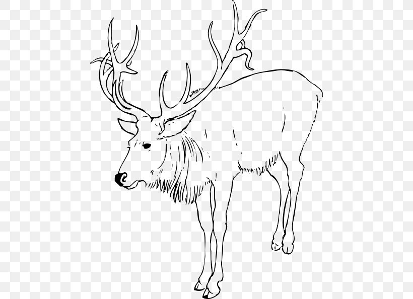 Rudolph Reindeer Antler Clip Art, PNG, 462x594px, Rudolph, Antler, Area, Black And White, Christmas Download Free