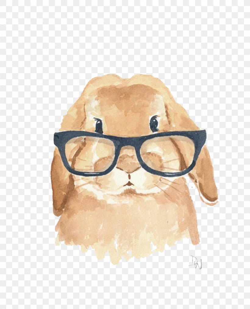 Holland Lop Rabbit Leporids Watercolor Painting Illustration, PNG, 999x1236px, Holland Lop, Art, Cuteness, Drawing, Eyewear Download Free