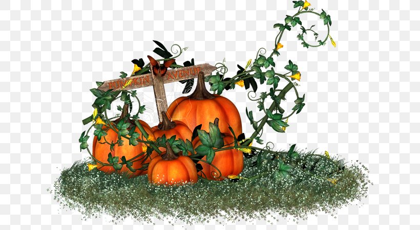 Pumpkin Vegetarian Cuisine Witch Gourd Design, PNG, 640x450px, Pumpkin, Calabaza, Citrus, Cucurbita, Food Download Free