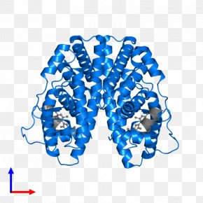 Estrogen Filigree - Cobalt Blue Product Organism Font Line PNG