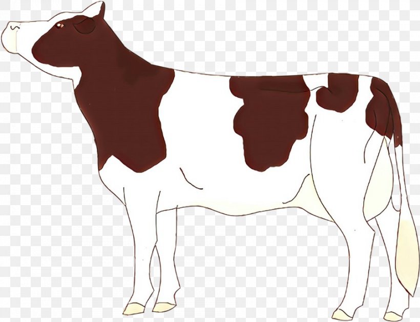 Clip Art Dairy Cow Tail Bovine Fawn, PNG, 902x691px, Cartoon, Bovine, Dairy Cow, Fawn, Tail Download Free
