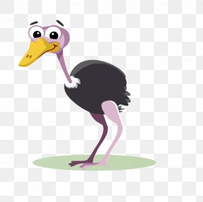 Duck - Common Ostrich Cartoon Royalty-free Clip Art PNG