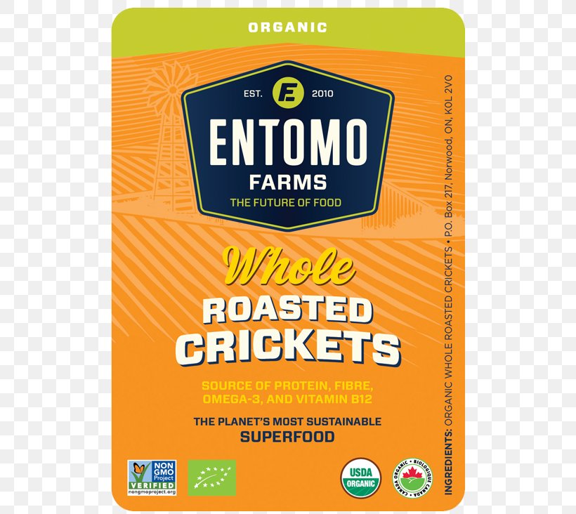 Insect Cricket Flour Entomophagy Food Powder, PNG, 603x732px, Insect, Bodybuilding Supplement, Brand, Complete Protein, Cricket Download Free