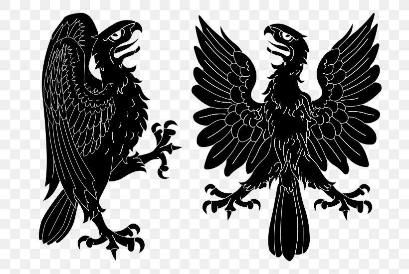 Negrete Coat Of Arms Of Chile Spain Escutcheon, PNG, 750x550px, Negrete, Beak, Bird, Bird Of Prey, Black And White Download Free