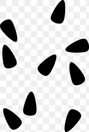 Snout Whiskers Line Point Clip Art PNG