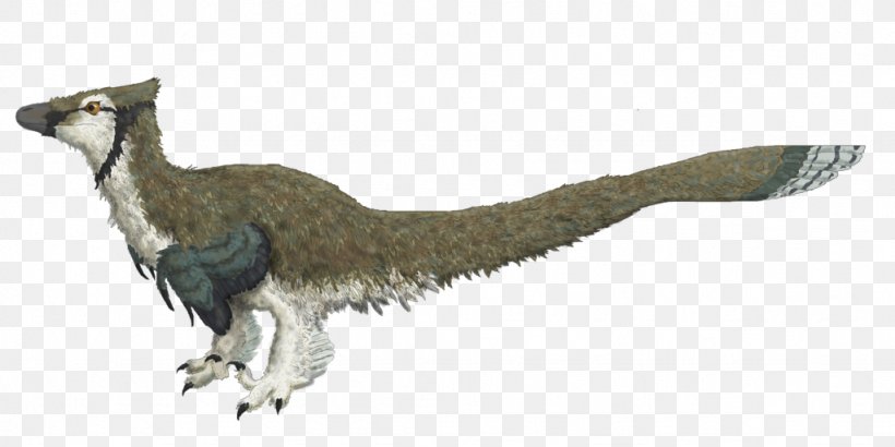 Tyrannosaurus Deinonychus Velociraptor Feather Dromaeosauridae, PNG, 1024x512px, Tyrannosaurus, Animal Figure, Beak, Blue Jay, Deinonychosauria Download Free