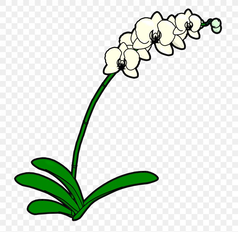 Floral Design Cut Flowers Plant Stem Leaf, PNG, 1429x1398px, Floral Design, Artwork, Black And White, Body Jewellery, Body Jewelry Download Free