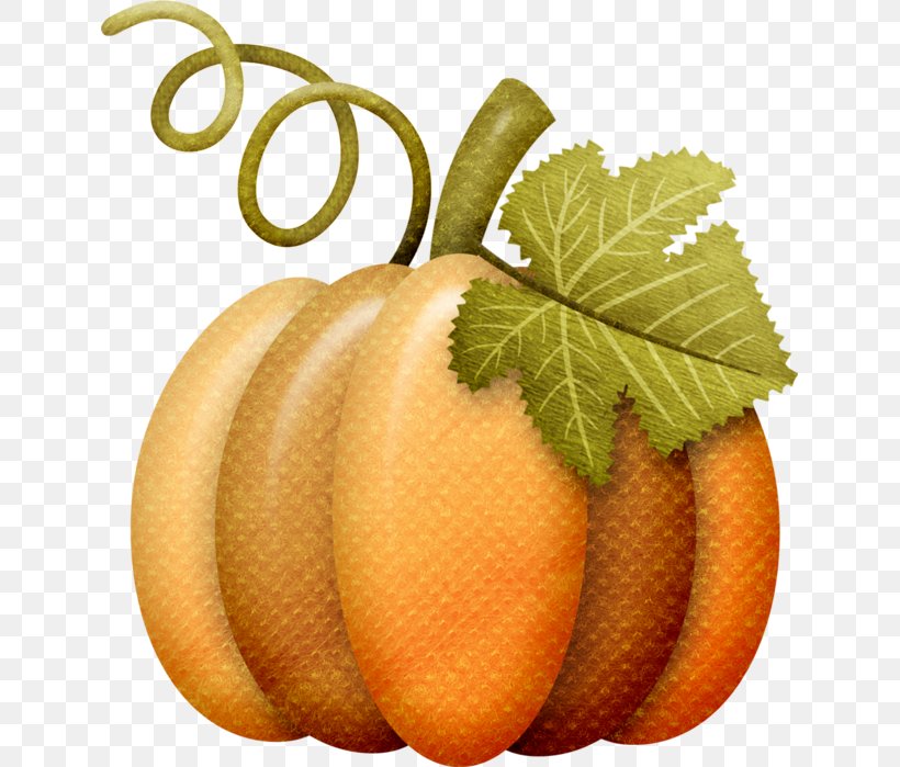 Gourd Clip Art Autumn Harvest Image, PNG, 635x699px, Gourd, Autumn, Citrus, Cucumber Gourd And Melon Family, Cucurbita Download Free