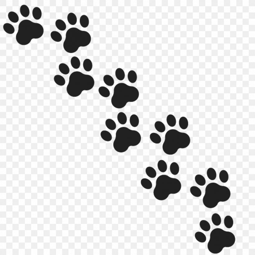 Gray Wolf Paw Royalty-free, PNG, 1920x1920px, Gray Wolf, Animal, Black, Black And White, Footprint Download Free