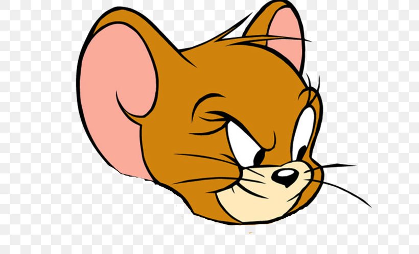 Jerry Mouse Tom Cat Nibbles Tom And Jerry Cartoon, PNG, 660x498px, Jerry Mouse, Artwork, Carnivoran, Cartoon, Cartoon Network Download Free